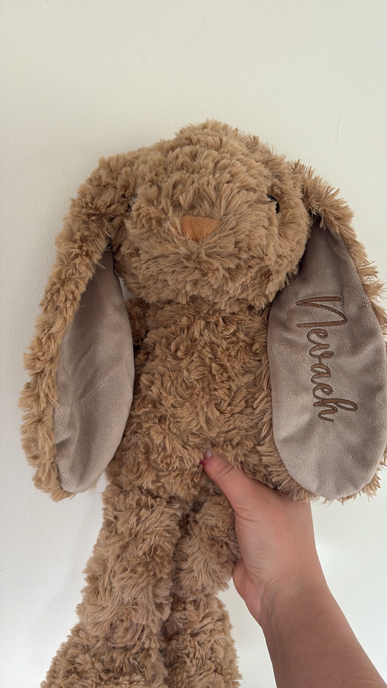 The Keepsake Bunny
